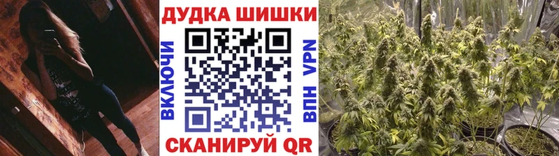 где продают   Норильск  Бошки Шишки SATIVA & INDICA 
